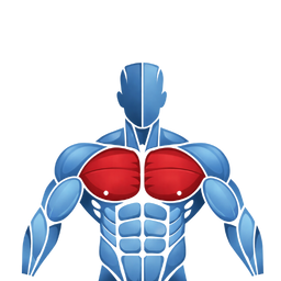 Ready2Fitness Muskel-Icon Brust